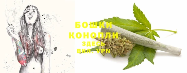 ГАЛЛЮЦИНОГЕННЫЕ ГРИБЫ Бронницы