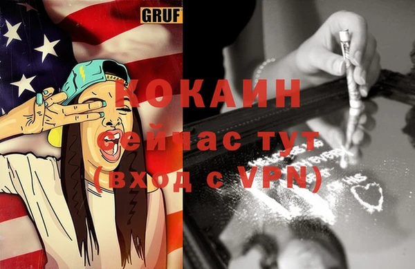 альфа пвп Бородино